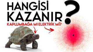 Elektrik Teller Boyunca Akıyor Sanıyorsanız, Yanılıyorsunuz! | Elektrik GERÇEKTEN Nasıl Çalışır?