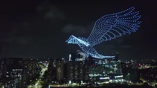 Chinese dragon, drone light show supplier