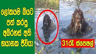 31 රෑ special ‍| හොදම විශ්ව ගවේශ​ක භයානක වීඩියෝ එකතුව | Videos That Make You Question Everything