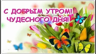 Удачного Дня и Хорошего Настроения! Позитив для друзей - музыкальная открытка с пожеланиями.