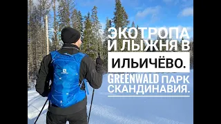 Экотропа и лыжня в Ильичёво. Музей Ялкала и Greenvald Парк Cкандинавия.