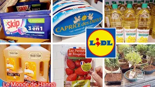 LIDL ARRIVAGE 09-05 PROMOTIONS OFFRES SPÉCIALES ☀️🎉