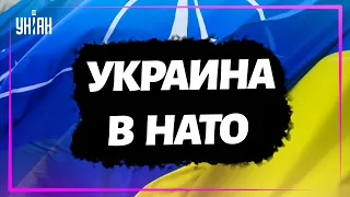 Бесконечный путь в НАТО: есть ли у Украины шансы вступить в альянс?