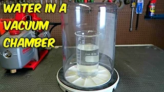 Amazing Experiments with Water in a Vacuum Chamber
