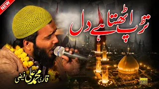 तड़प उठता है दिल लफ्ज़ों में दोहराई नहीं जाती | Qari Mohammad Ali Faizi New Naat 2021 | Ali Faizi