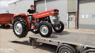 COLLECTING MY DREAM TRACTOR! THE RETURN OF THE MASSEY FERGUSON 135 PLUS PLANS FOR IT'S FUTURE!