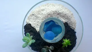 DIY Ideas of small florariums in glass, natural moss, stones and Succulents