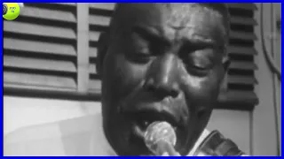 Howlin' Wolf - Down in the bottom ( Live 1966)