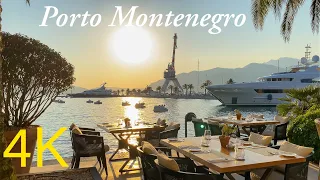 Porto Montenegro 🛥️ Tivat 🇲🇪 Walking Tour 4K 60fps - with Captions