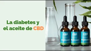 Diabetes y aceite de CBD | WellGreen