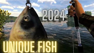 Fishing Planet - Do This Instead Of Sturgeon Grinding 2024