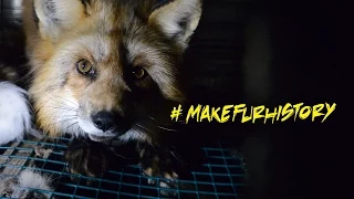 Exposing the Fur Industry