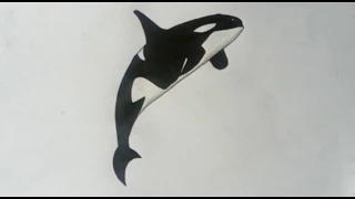 How To Draw a Killer Whale (Orca) | Easy Drawing for Kids