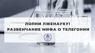 Лопни лженауку! Развенчание мифа о телегонии