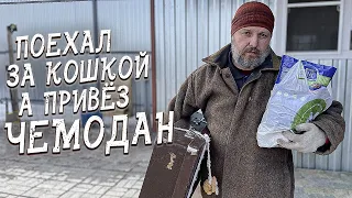 Спасение животных/ Проехал 200 километров и надеялся, что меня дождутся