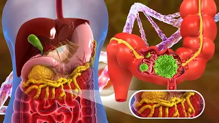 Intestinal Healing: Full Body Repair and Regeneration at 432Hz, Positive Energy Flow