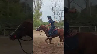 2 tazze *senza mani* - Pony Mounted Games Horse Riding #horseriding #mountedgames #ponygames #viral