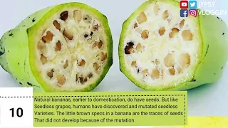 Interesting Fruits Facts Probably You Didn't Knew Before