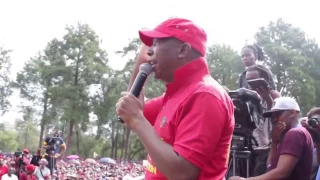 Julius Malema says members of the ANC in Parliament are cowards