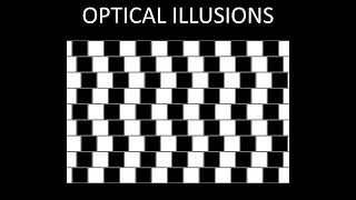 10 Optical Illusions That Will Trick Your Eyes