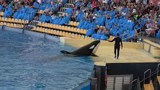 Orca Show - Loro Parque - Tenerife - 2018 HD