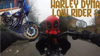 Riding the Dream Bike - Harley Davidson Dyna Low Rider S