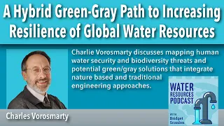 A Hybrid Green-Gray Path to Increasing Resilience of Global Water Resources