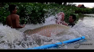 Big Arapaima action at Jurassic Fishing Park.