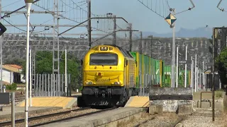 Trenes a todo color en el sur de España. Renfe AVE, Mercancías, Transporte Sostenible