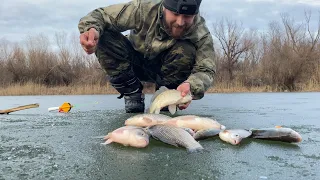 КРУПНЫЙ КАРАСЬ ЖАДНО КЛЮЁТ НА МОРМЫШКУ, АЖ РВЁТ ЛЕСКУ! ОПАСНЫЙ ПОСЛЕДНИЙ ЛЁД В АСТРАХАНИ.