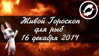 Гороскоп для РЫБ ♓ на 16 декабря от Зайки Zoobe