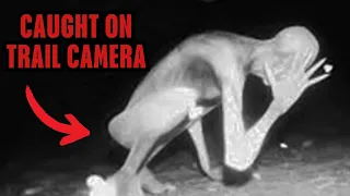 Trail Cam Captures Evasive Terrifying Creature That Defies Explanation (MUST SEE)