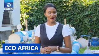 Eco Africa | 29/11/2020