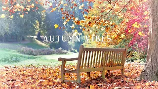 Acoustic | Indie | Folk | Instrumental Autumn Feels, Music for Sleep, Study, Focus, Work, Coffeeshop