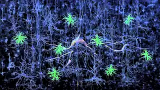 Optogenetics: Controlling the brain with light