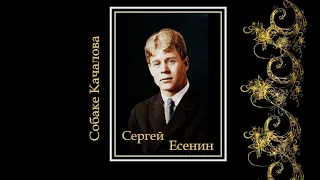 Собаке Качалова.(Сергей Есенин).(2021).