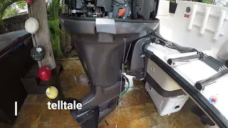 Yamaha outboard HPDI flushing. Muffs or port? Motor running or not? Are you doing it effectively?