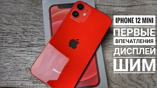 IPhone 12 mini. Первые впечатления, дисплей, ШИМ.