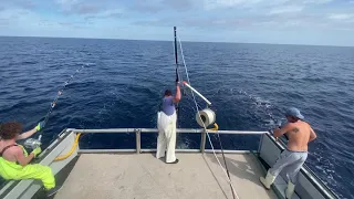 175+LB BIGEYE TUNA - Northeast Canyons Offshore Fishing - Ep 3