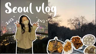 Seoul vlog | Celebrate New Year's Eve!!! Fall in love with Korean food 🥘🥟🍲 首尔太好逛了吧!! 第一次异国跨年