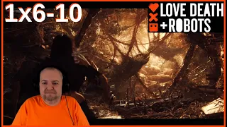 Love, Death & Robots 1x6-10 REACTION (Yogurt Took Over, Aquila Rift, Good Hunting, Dump, ShapeShift)