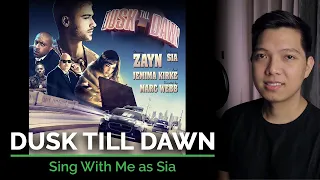 Dusk Till Dawn (Male Part Only - Karaoke) - ZAYN ft. Sia