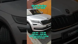 Skoda Kodiaq 1.4 TSI | Stage 1 #chiptuning | Tuningdoc