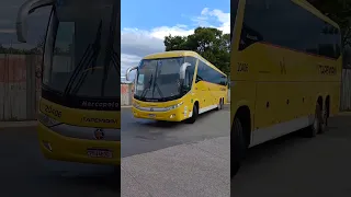 Movimentação de Ônibus na Rodoviária Interestadual de Brasília-DF (Especial Fim de Ano) - Parte 05