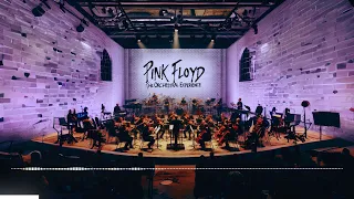 Pink Floyd  - The Wall (The Orchestral Experience)