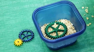 Wood Gears, Oatmeal & Linseed Oil