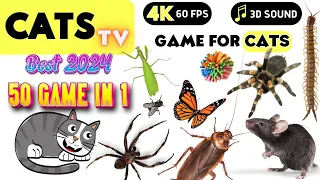 CATS TV - ULTIMATE Games Compilation for CATS & DOGS #02 (50 Games In 1) - 3 HOURS