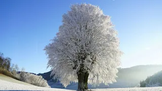 ЖИЗНЬ НА НОВОЙ ЗЕМЛЕ (СОНАСТРОЙКА ЧАКР С ЭНЕРГИЕЙ ВРЕМЕНИ)