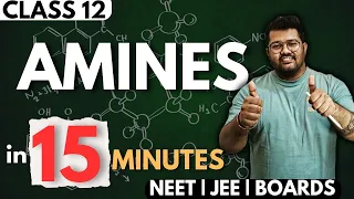 Class 12 Chemistry : Amines in 15 Minutes | NEET 2024