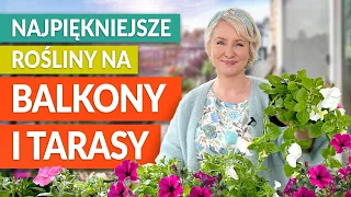 Najpiękniejsze ROŚLINY NA BALKONY I TARASY. Długo kwitnące. | GREEN CANOE